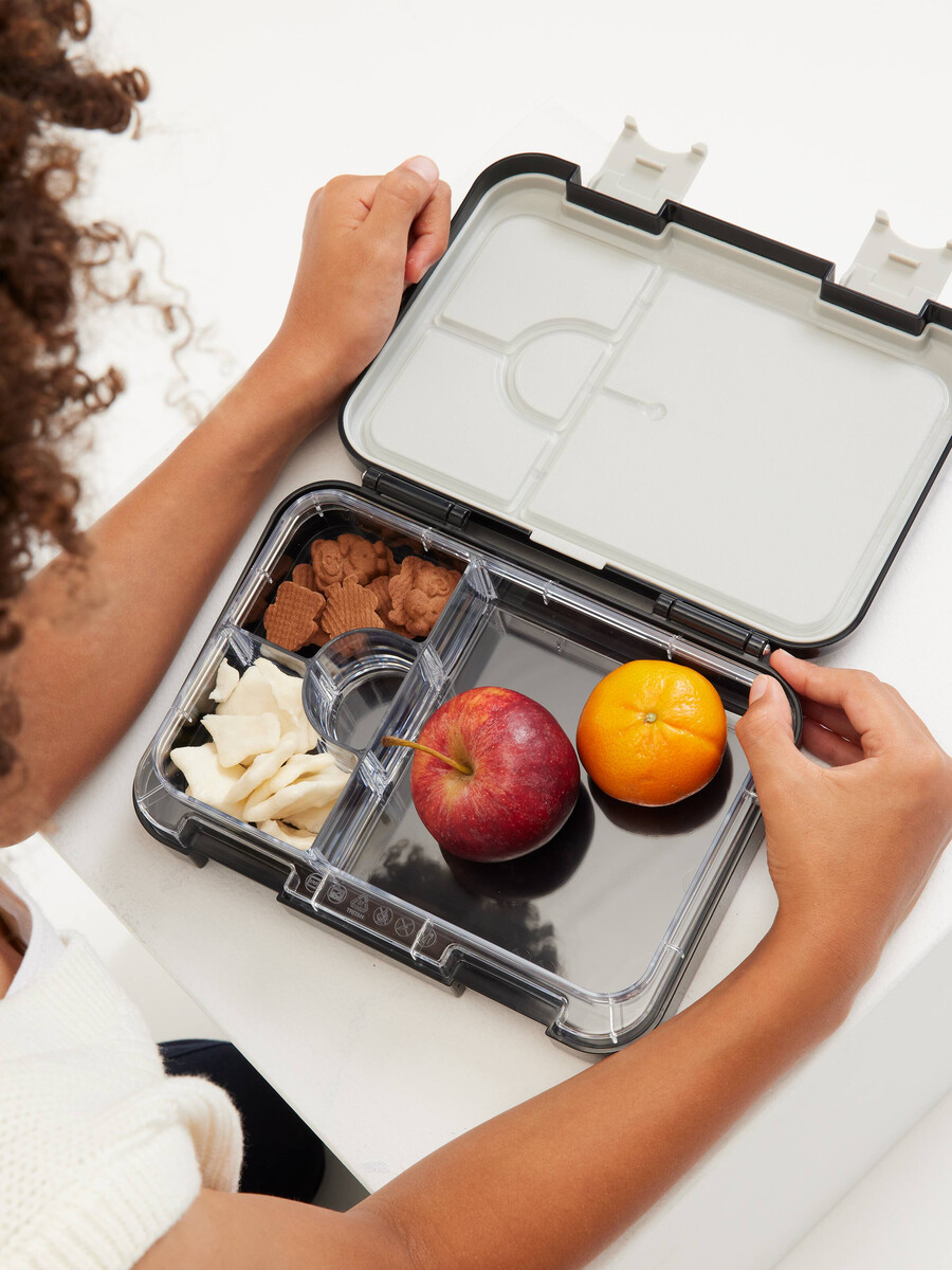eclipse medium bento matlåda