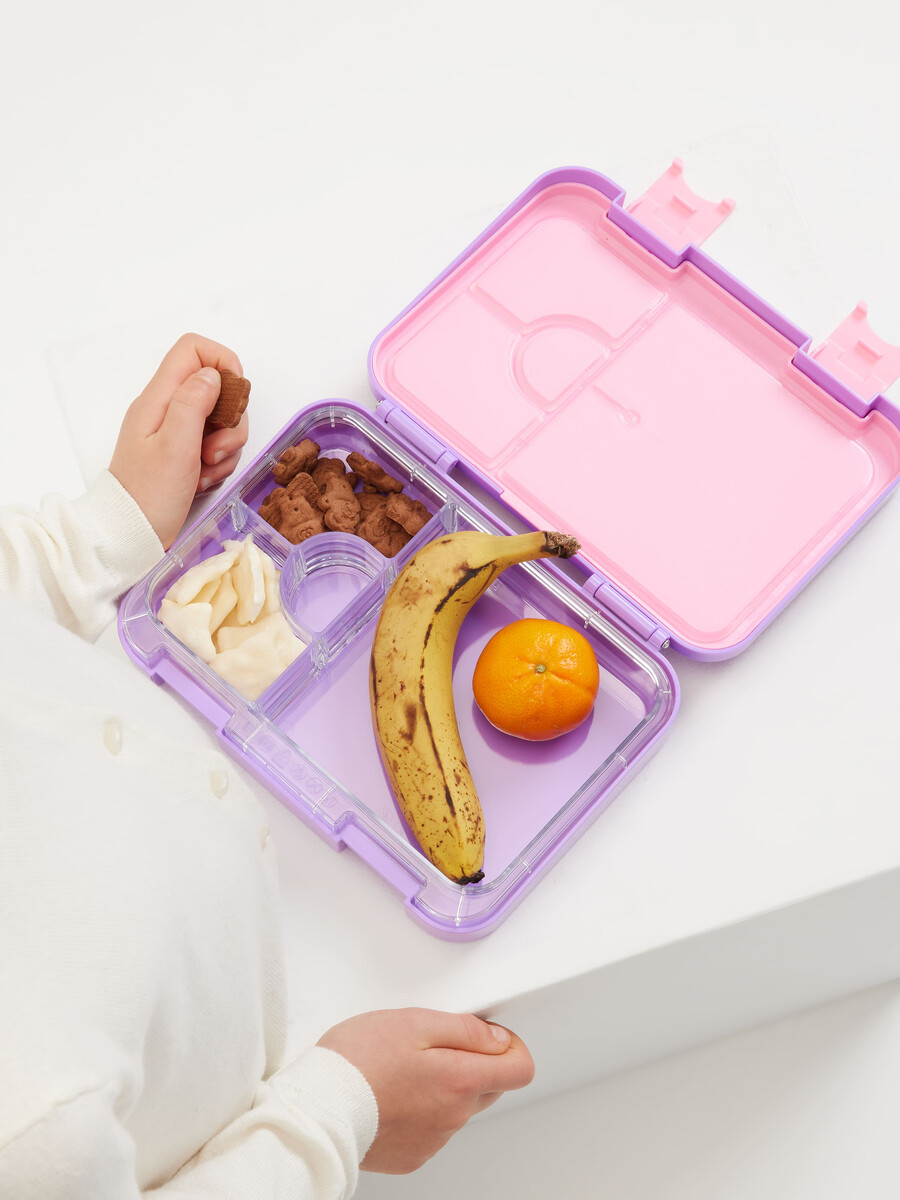 eclipse medium bento matlåda
